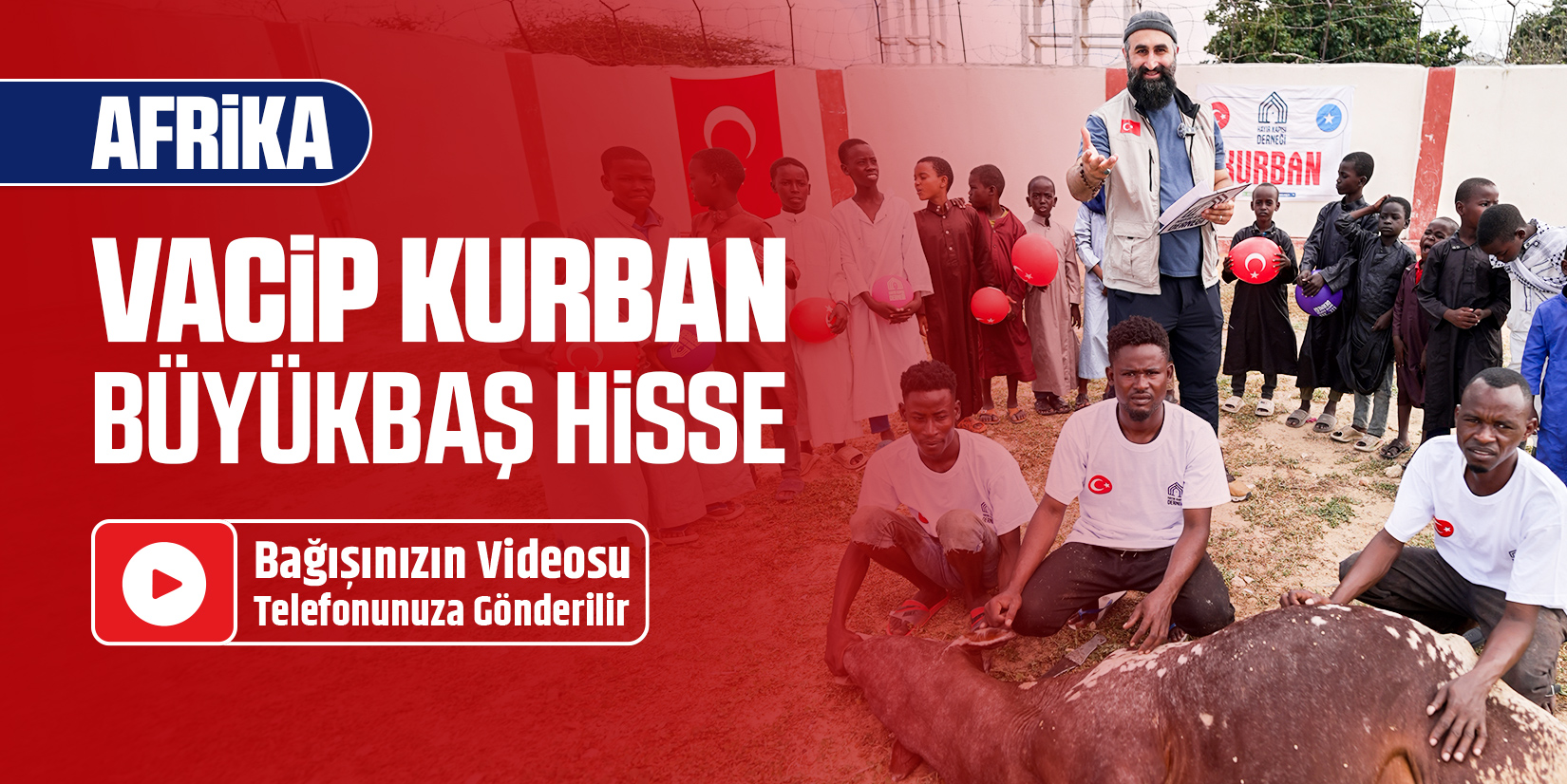 Afrika Büyükbaş Vacip Kurban