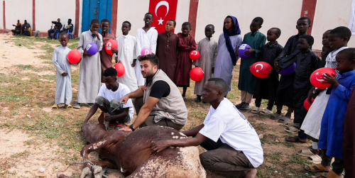 Kurban Emanetlerimizin Kesimleri Tüm Bölgelerimizde Başladı